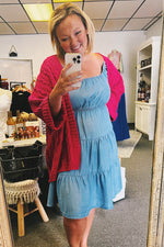 Frances Chambray Dress